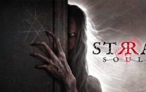 流浪的灵魂/Stray  Souls